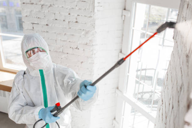 Forensic Mold Investigation in Ponder, TX