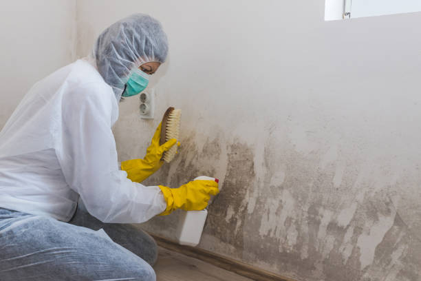 Best Air Quality Testing for Mold Spores  in Ponder, TX